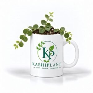 Dischidia Plant in Premium Ceramic Mug Planter | Kashi Plant